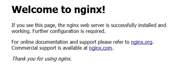 nginx home page