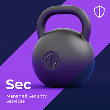 1111sys-8782-managed-security-blog-thumb