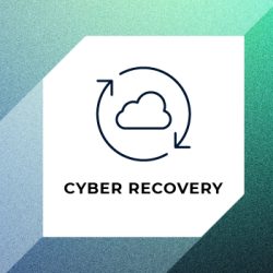 Cyber Recovery, Cyber Resilience, Business Resilience